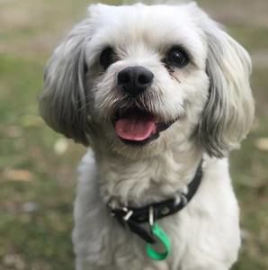 Meet your Posher, Annalease